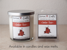 Load image into Gallery viewer, Amber Noir • Wax Melts