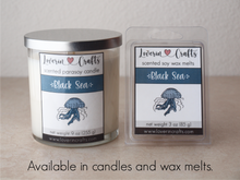 Load image into Gallery viewer, Black Sea • Wax Melts