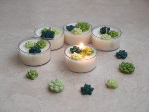 Succulent Garden Tealight Set - Green wax succulents on white tealight candles.