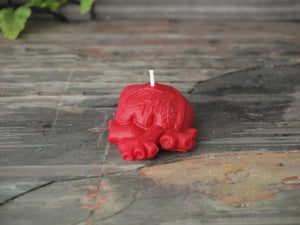 Anatomical Heart Candle - Unscented Red Soy Candle - Custom Decorative Candle - Loverin Crafts