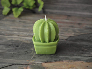 Cactus Candle - Unscented Green Soy Candle - Custom Decorative Candle - Loverin Crafts