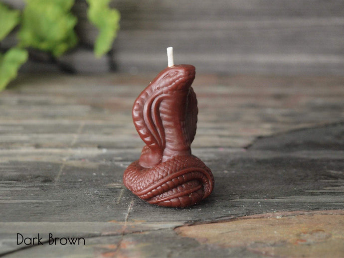Cobra Snake Candle - Unscented Brown Soy Candle - Custom Decorative Candle - Loverin Crafts
